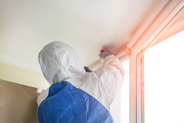 Professional Mold Removal in Citrus, CA