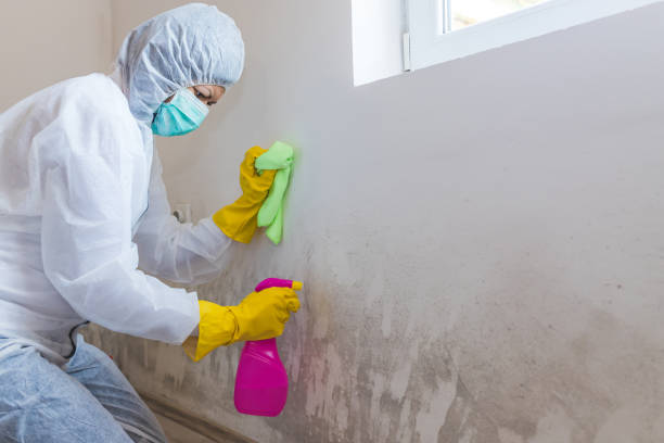 Best Forensic Mold Investigation in Citrus, CA