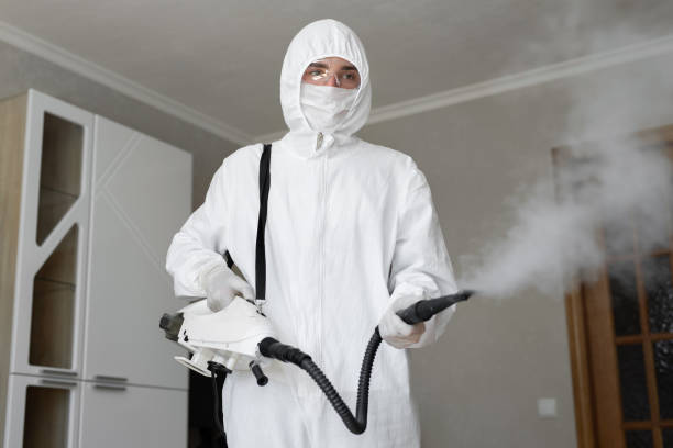 Why You Should Choose Our Mold Remediation Services in Citrus, CA